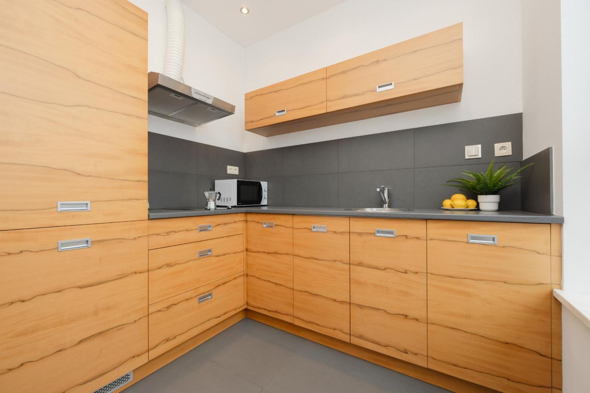 Spacious Studio Muranow & Parking By Renters Appartement
